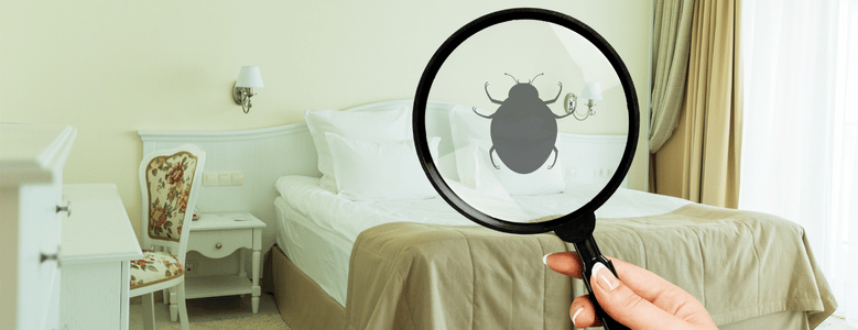 Mão segurando uma lupa em primeiro plano, apontada para uma cama de casal arrumada em um quarto claro. Dentro da lente da lupa, há o desenho da silhueta cinza de um inseto, ilustrando a busca por percevejos ou ácaros no colchão.