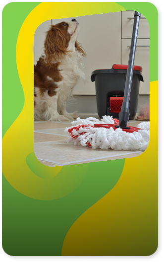 Como tirar cheiro forte de urina de pet?