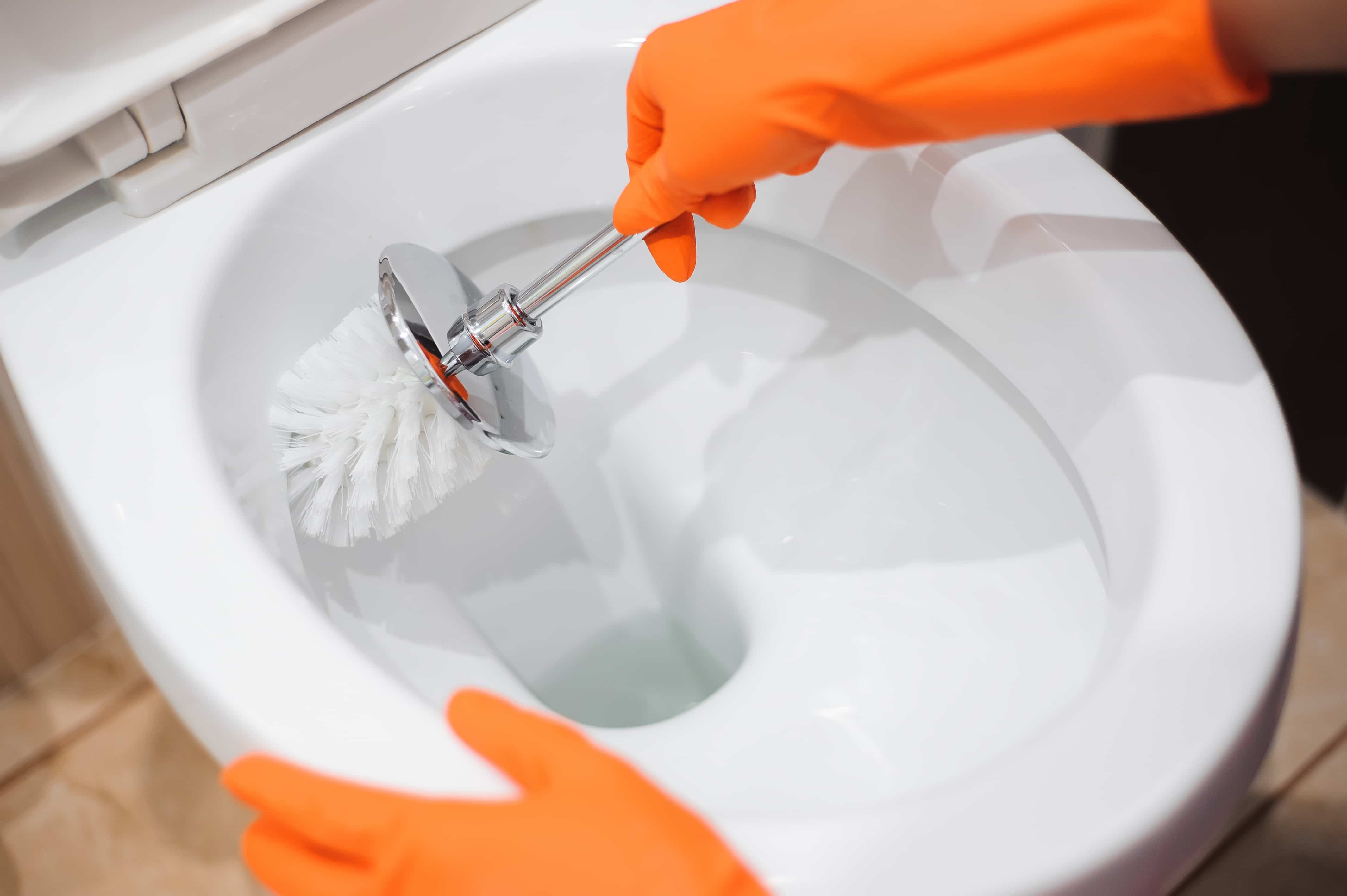 Pessoa usando luvas de borracha laranja segura uma escova com cabo cromado para esfregar a parte interna de um vaso sanit&aacute;rio de porcelana branca.