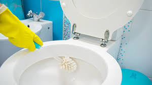 Como limpar o vaso sanitário?
